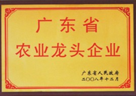 榮譽(yù)證書(shū)1
