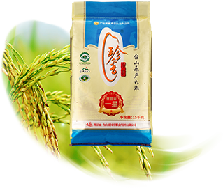 “珍香”絲苗米-一星