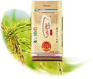 “珍香”絲苗米-五星